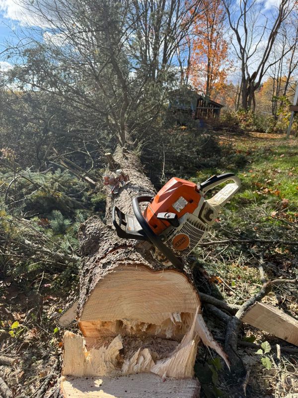 Fall Clean Up