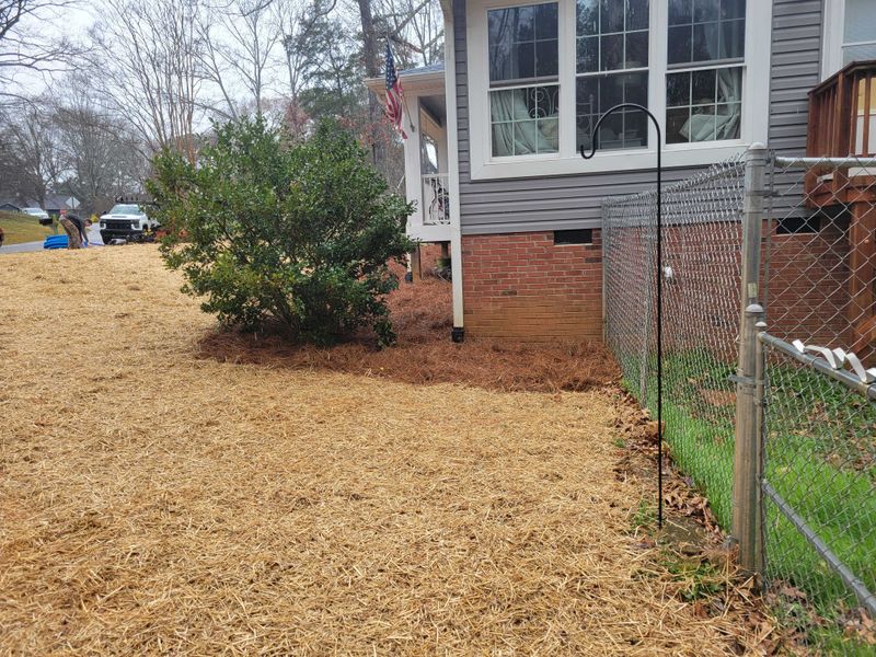 Lawn Drainage - Charlotte, NC