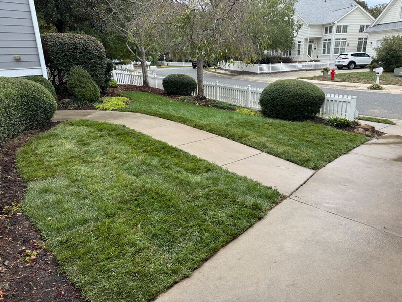 Sod Installation gallery