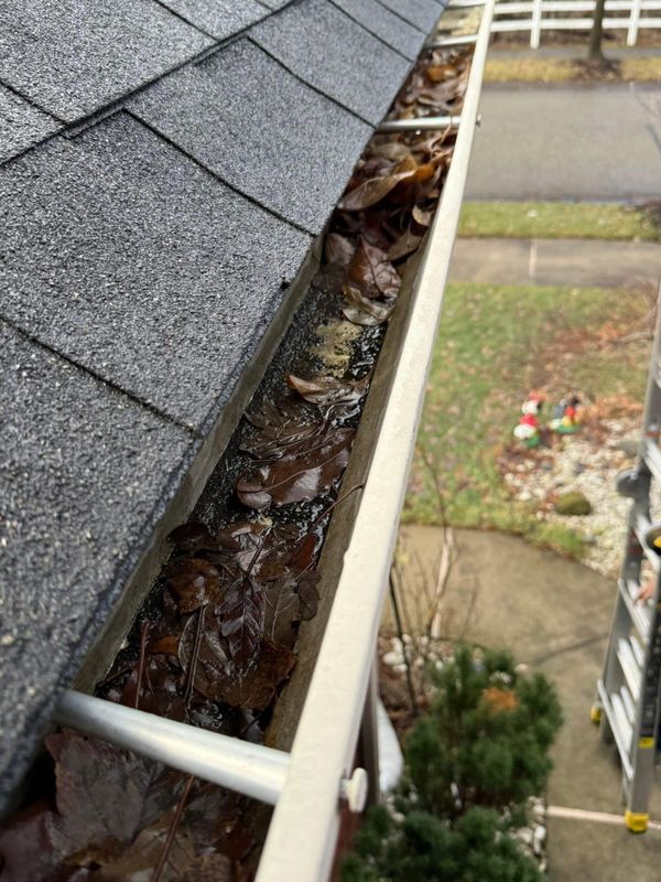 Roofing Repairs