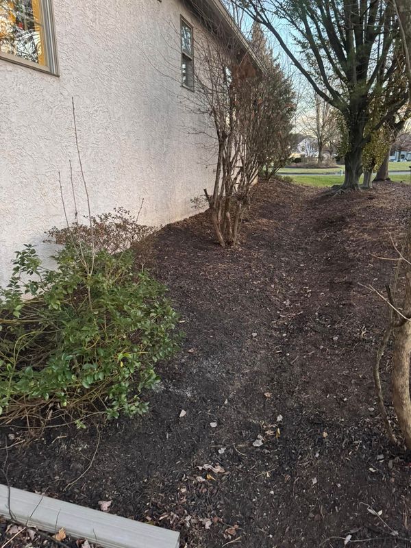Landscaping