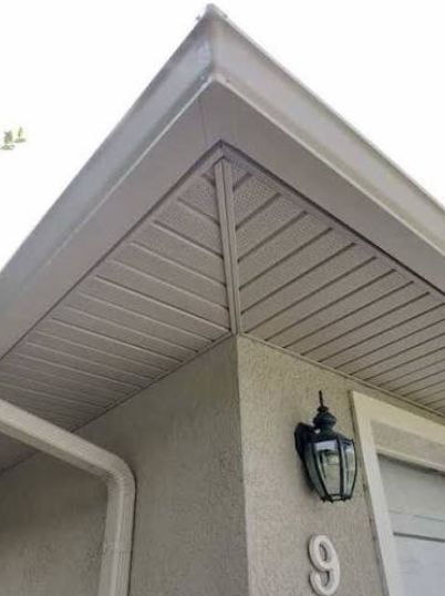 Fascia