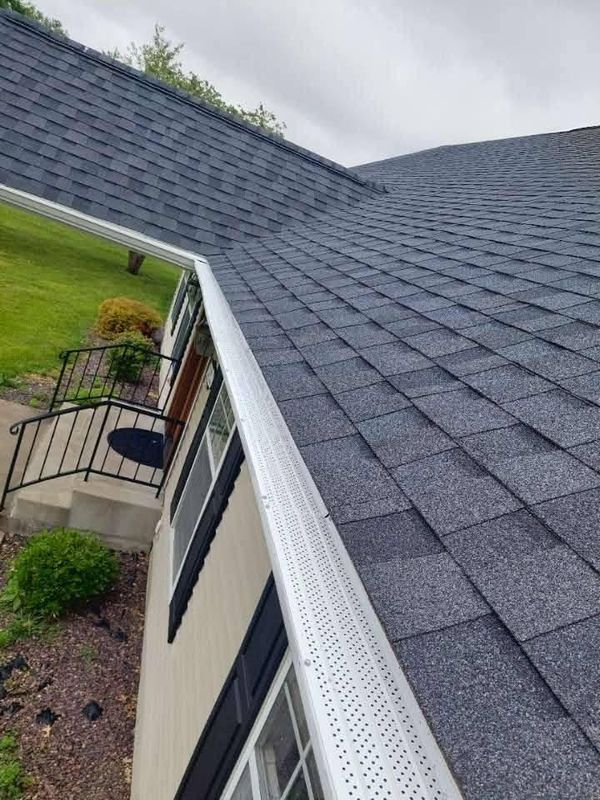 Roof Cleaning