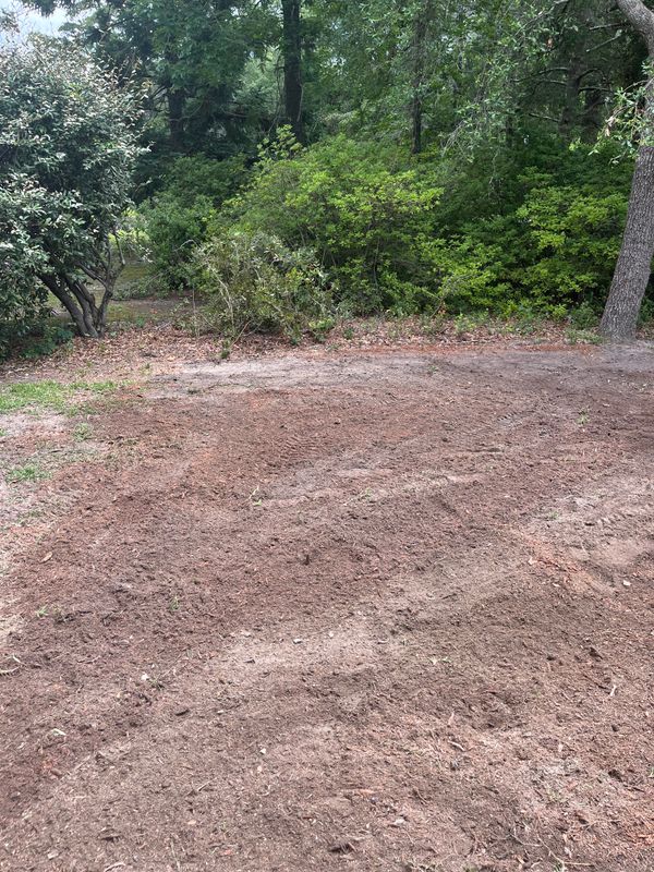 Brush Clearing
