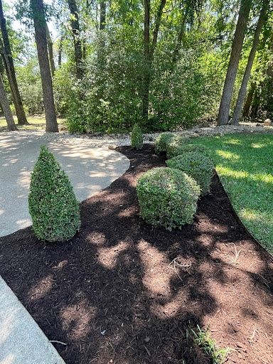 Shrub Trimming