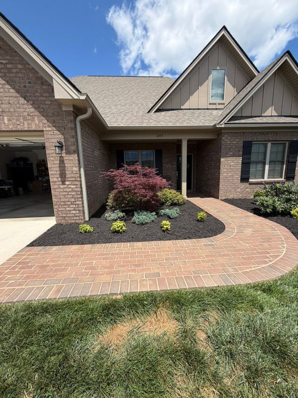 Lawn and Sod Installation
