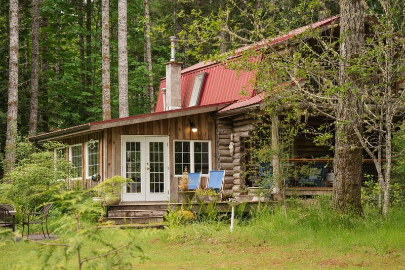 Log Home Maintenance & Repair