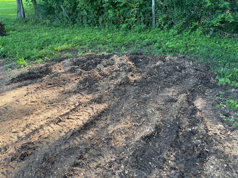 Stump Removal
