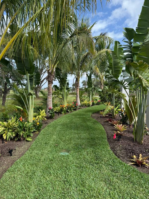 Landscape Design and Installation