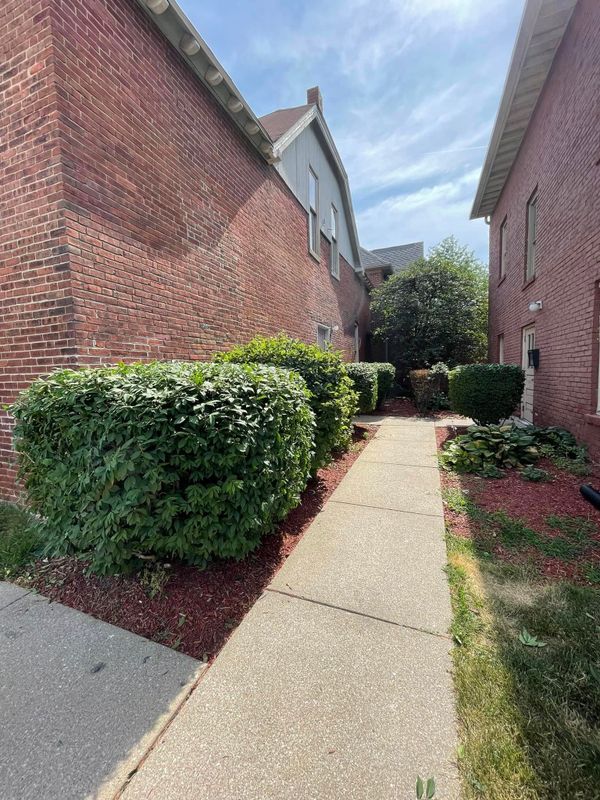 Shrub & Hedge Trimming