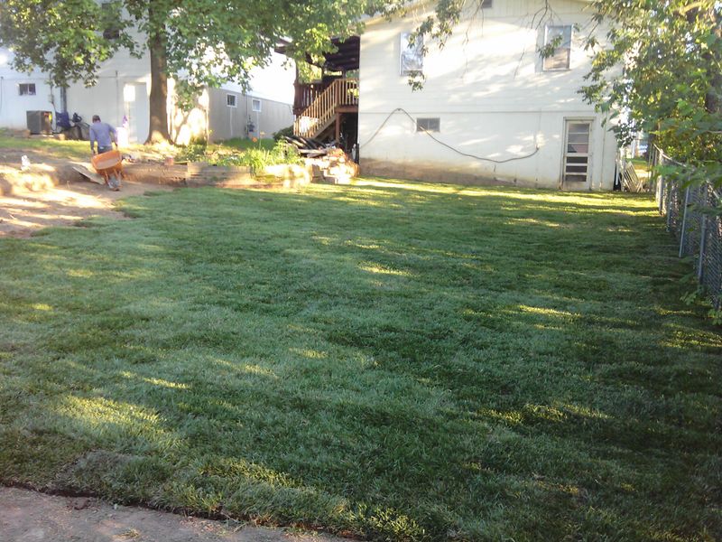 Sod Installation