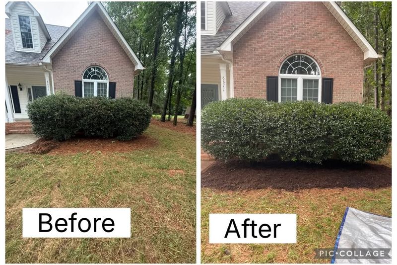 Hedge Trimming