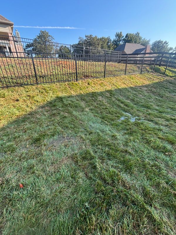 Transforming Fairview's Outdoor Spaces: Expert Sod Installation & Drainage Solutions