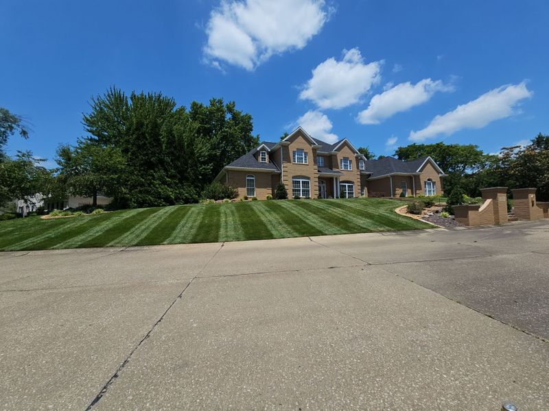 Lawn Maintenance
