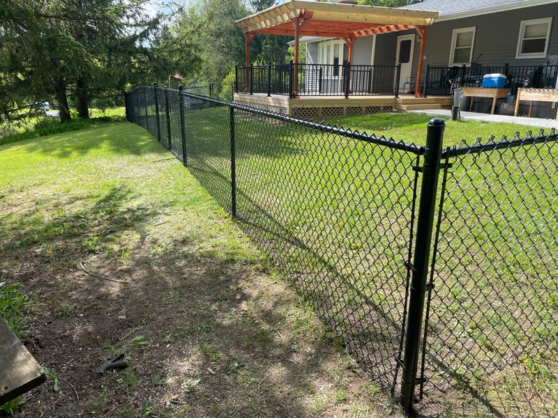 4’ Black Chain Link – Built for the Dog