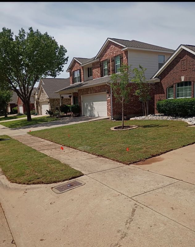 Landscape Projects