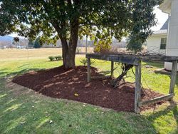 Lawn Care Services