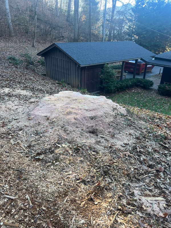 Stump Removal