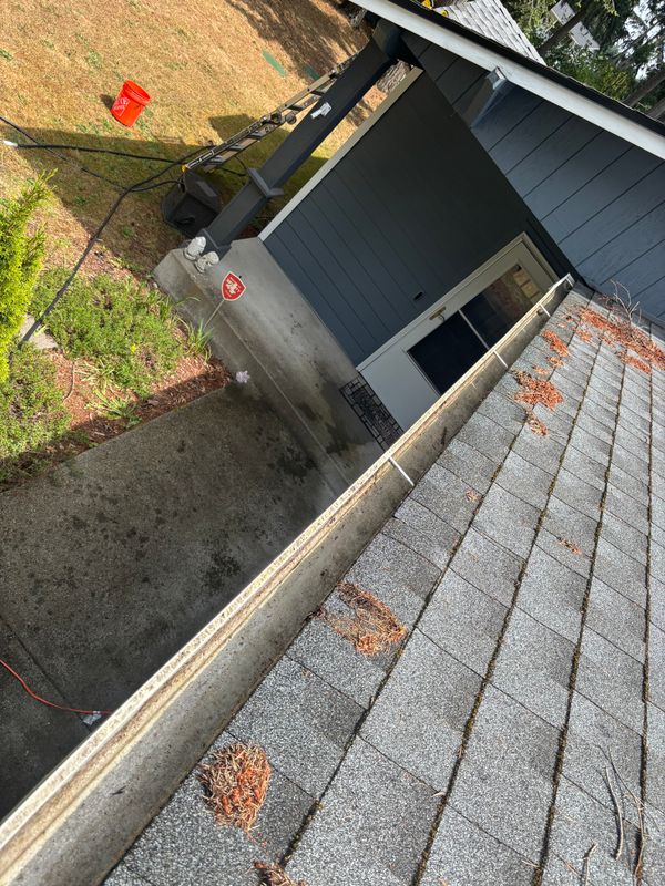 Revitalize Your Home with Expert Gutter Cleaning