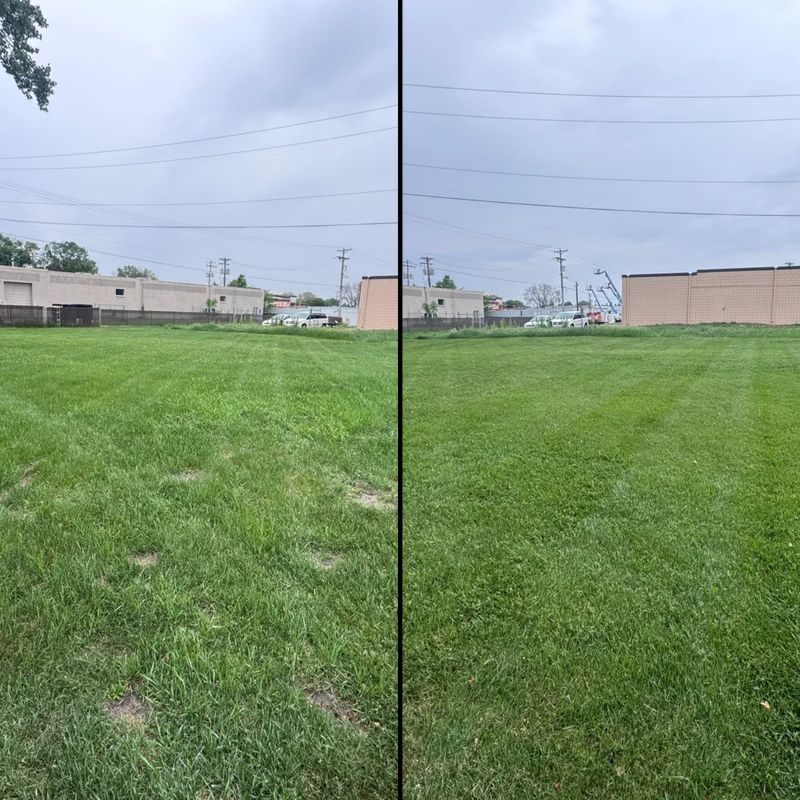 Lawn Maintenance