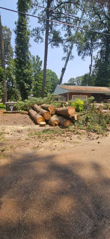 Tree Removal gallery