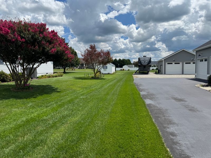 Lawn Mowing & Maintenance