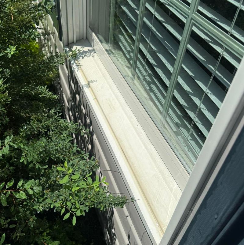 Residential Window Cleaning