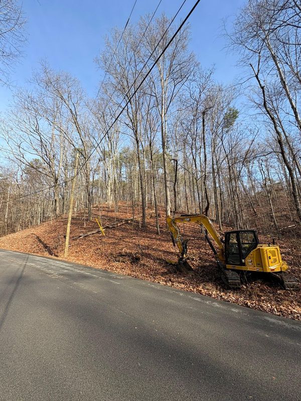 Forestry Mulching