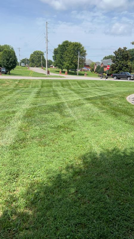 Mowing