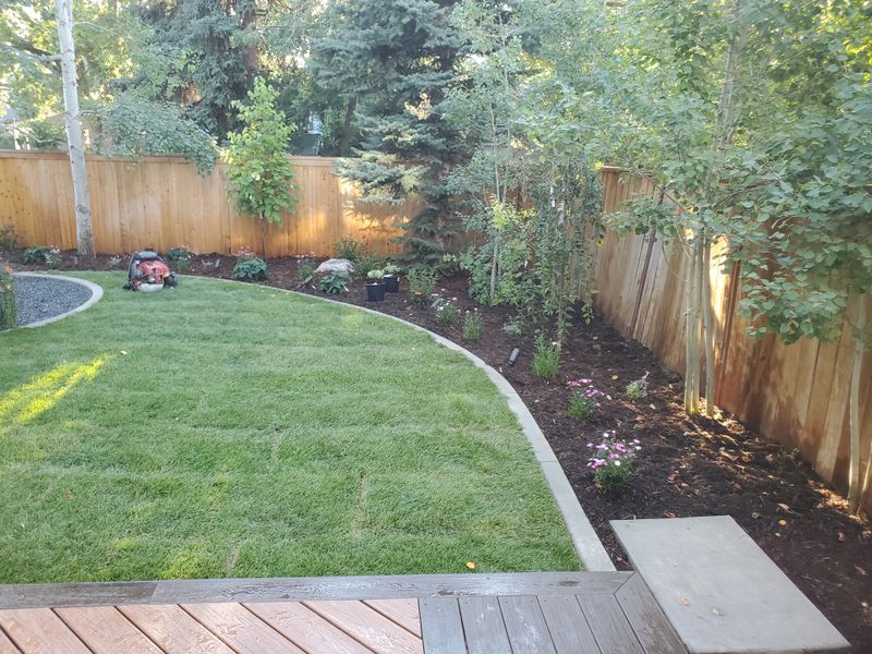 Mulch Installation
