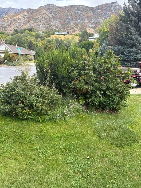 Other Lawn Services