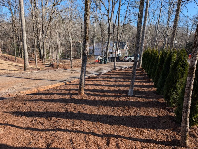 Mulch Installation