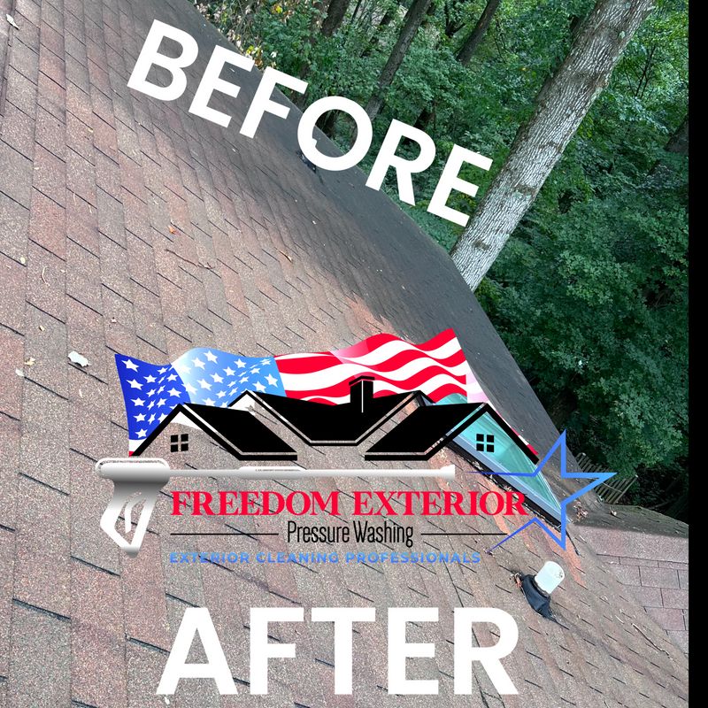 Roof Cleaning