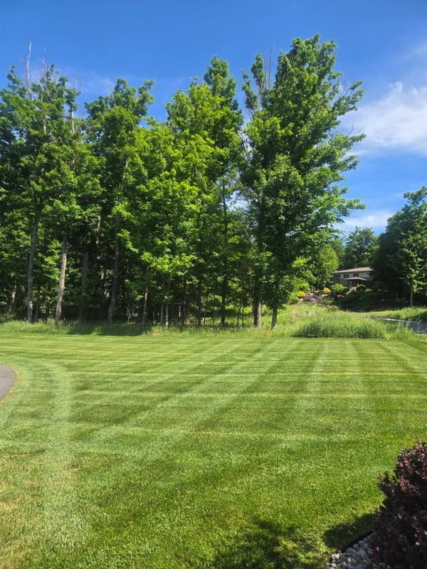 Lawn Maintenance