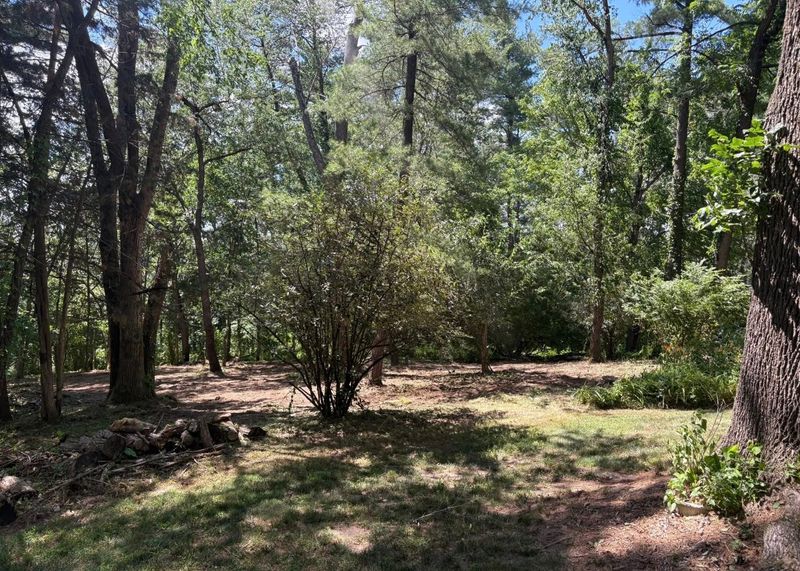 Brush Clearing / Land Leveling