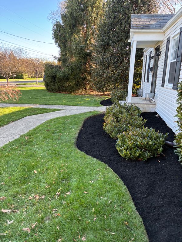 Lawn Maintenance