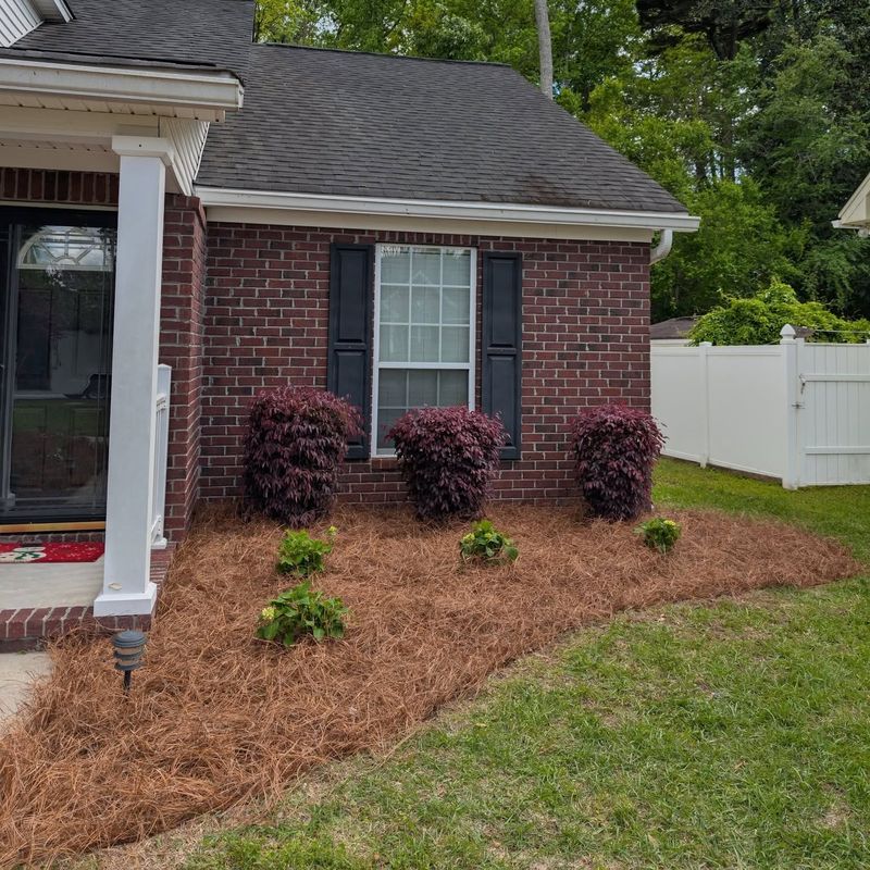 Landscape Design