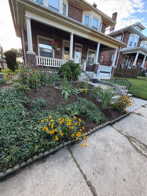 Landscape Designs