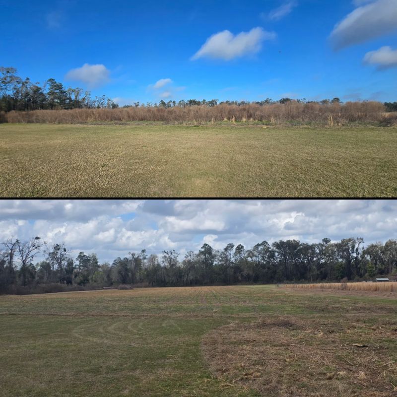 Land Clearing