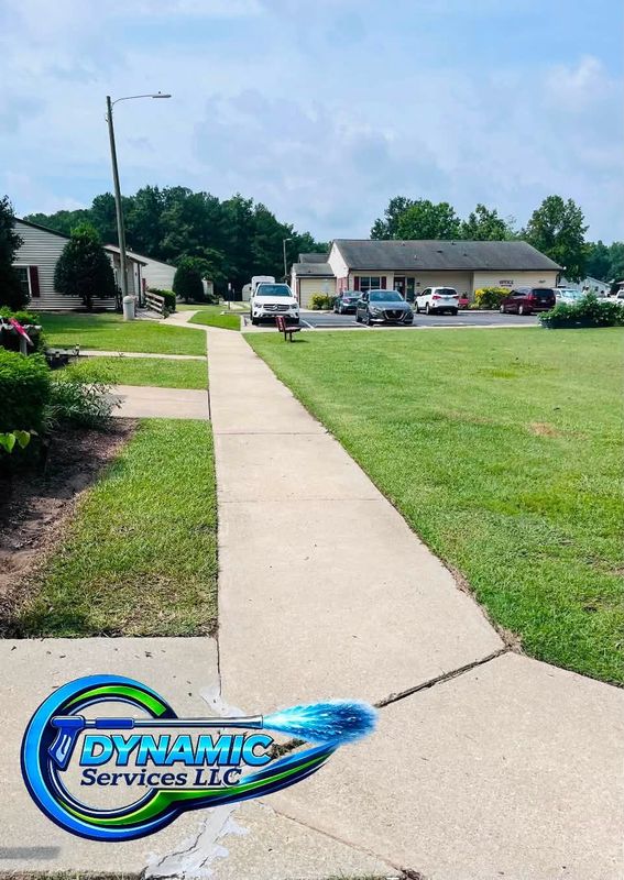 Driveway and Sidewalk Cleaning