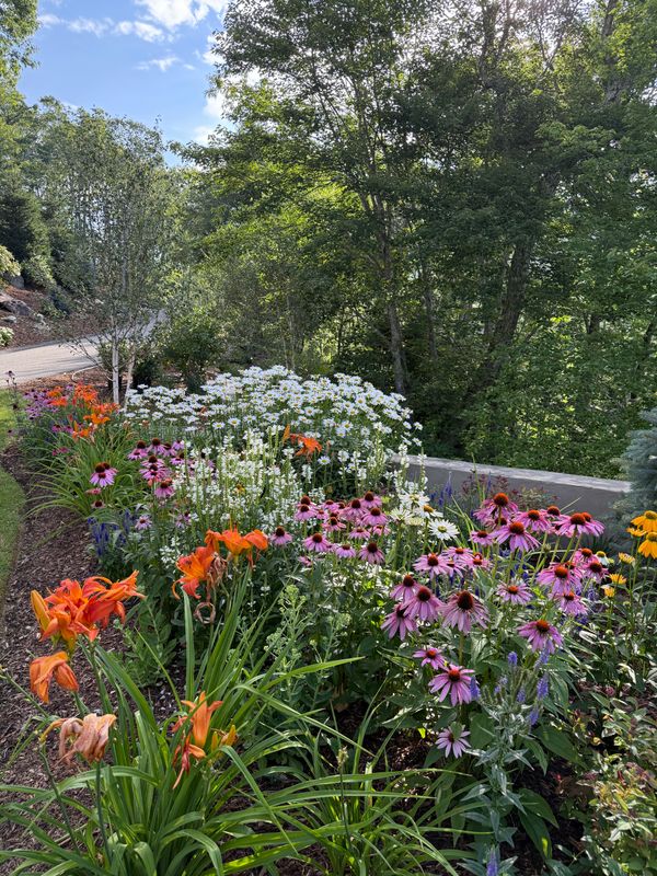 Perennial Gardens gallery