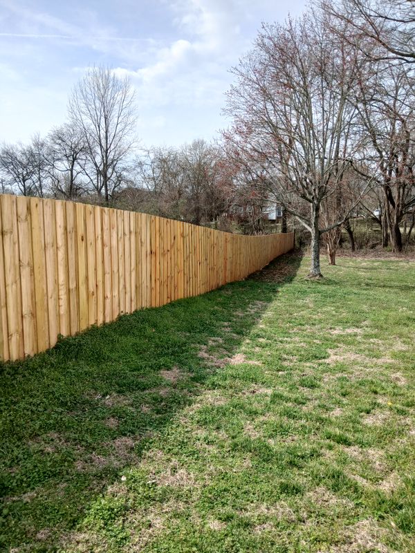 Fence & Deck Staining