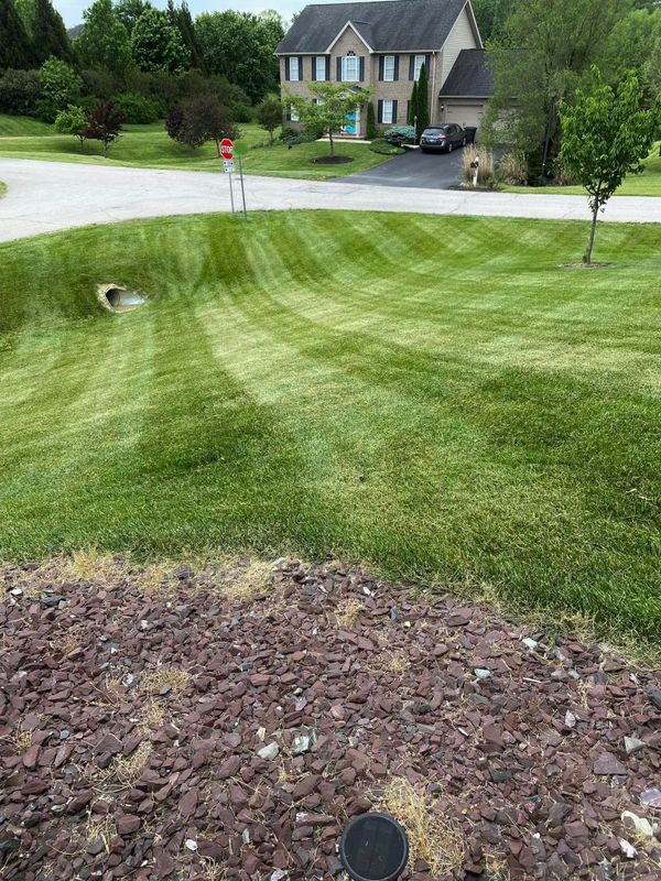 Lawn and Sod Installation