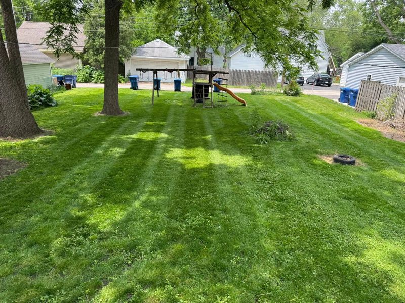 Lawn Mowing