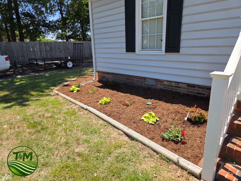 Landscape Design & Installation