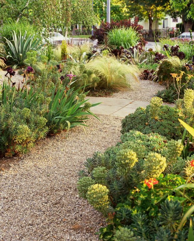 Landscape Design