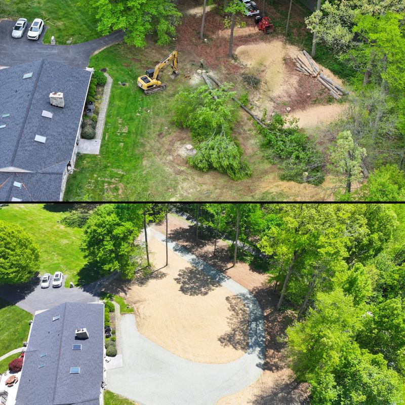 Land Clearing