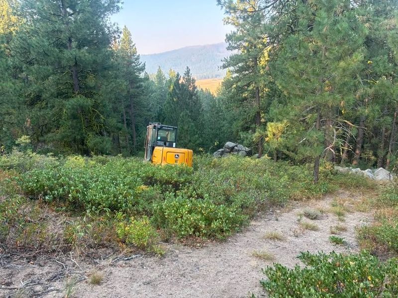 Land Clearing