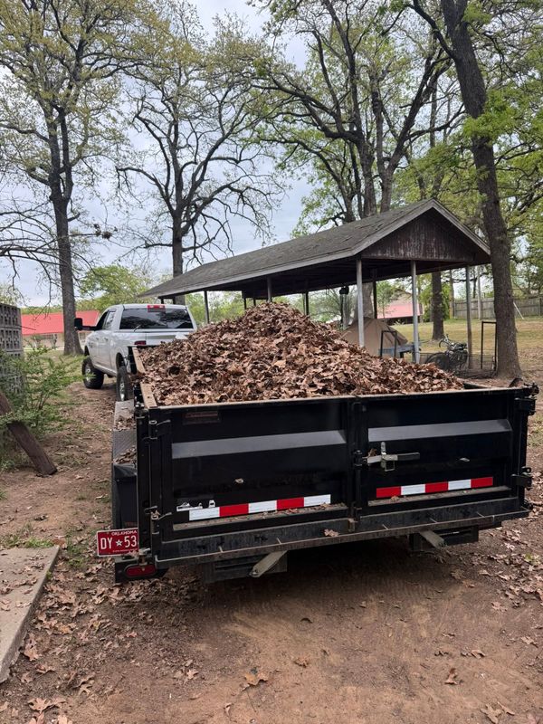 Tree and Shrub Care
