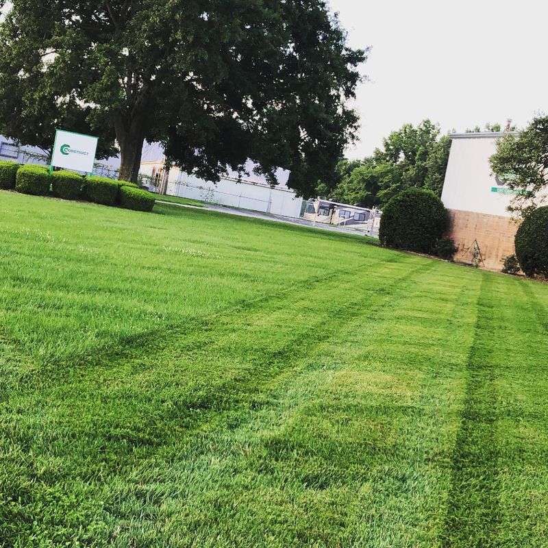 Lawn Care